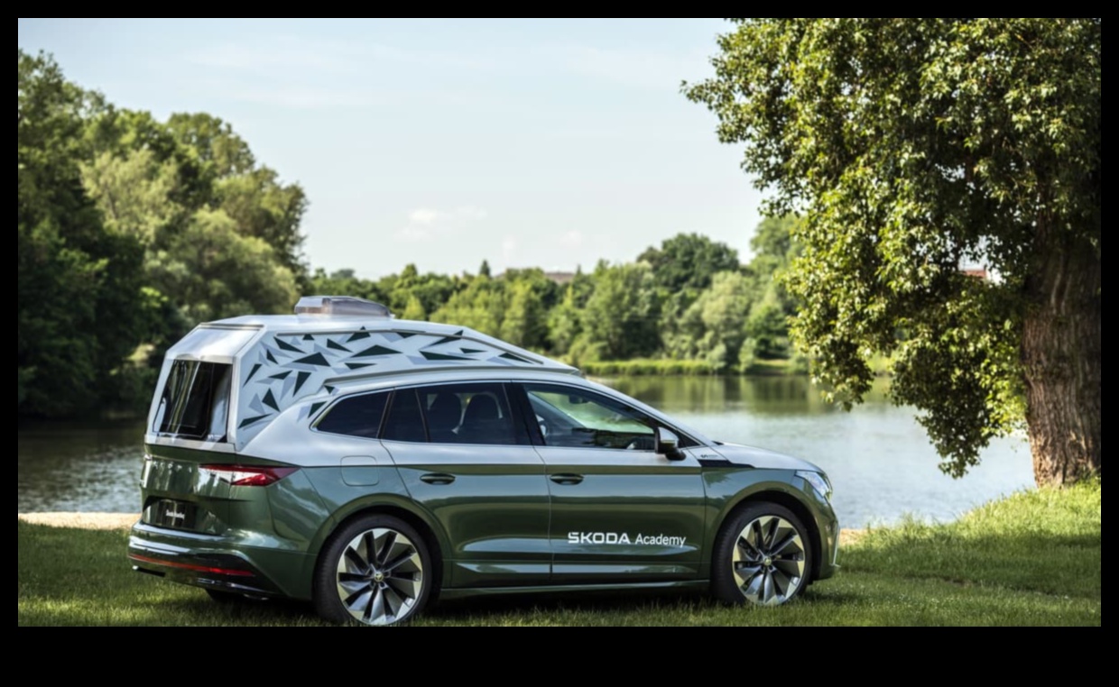 Rețele nomade: construirea de comunități de entuziaști ai vehiculelor hibride