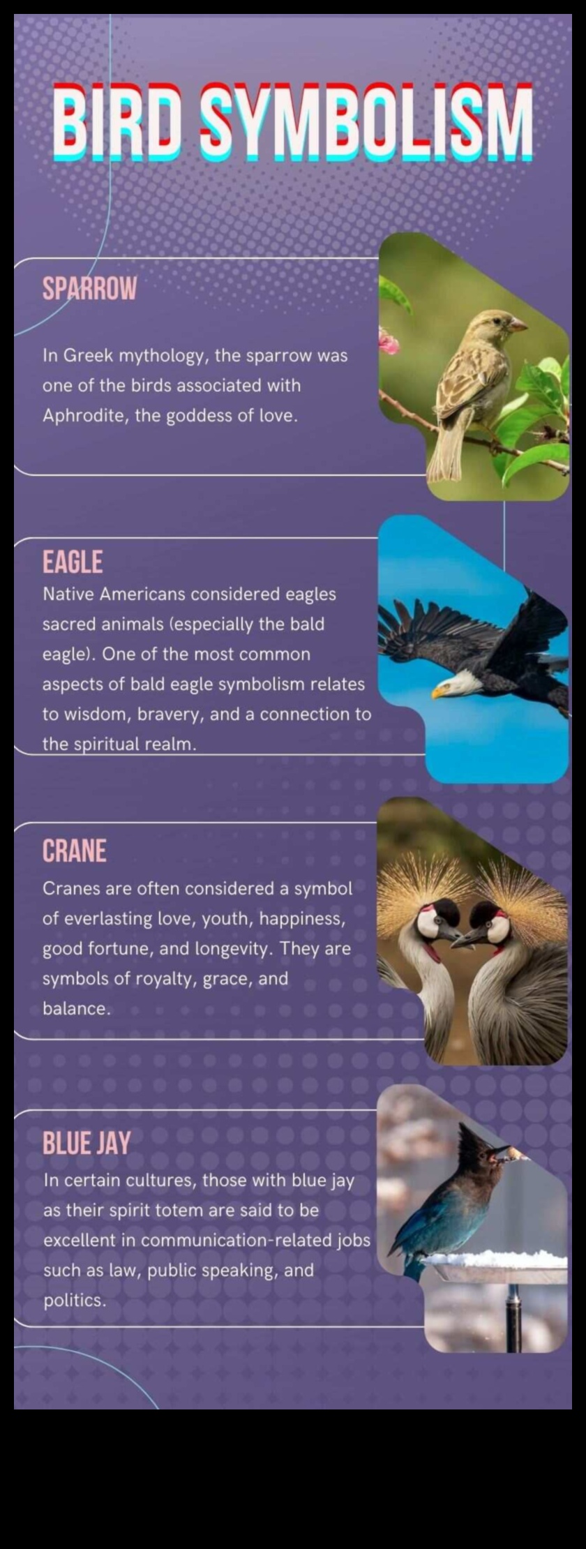 Păsări și culturi indigene Simbolism și semnificație spirituală 2 Păsări și culturi indigene: simbolism și semnificație spirituală