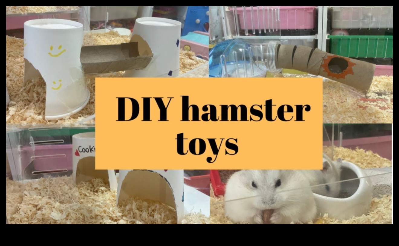 Jucării DIY pentru hamsteri Continuare Idei ecologice și reciclabile 3 Jucării DIY pentru hamsteri Continuare: Idei ecologice și reciclabile