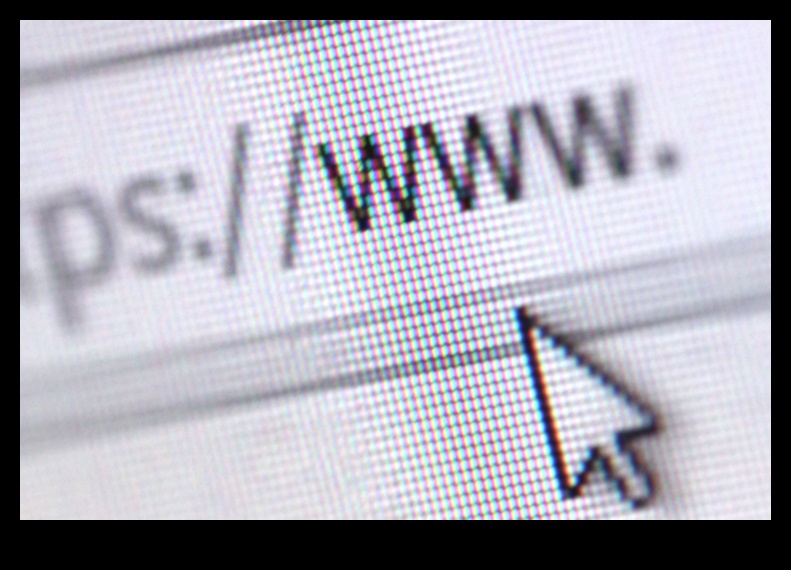 Revoluția web Cum World Wide Web remodelează peisajul vizual 4 Revoluția web: modelarea peisajului vizual online