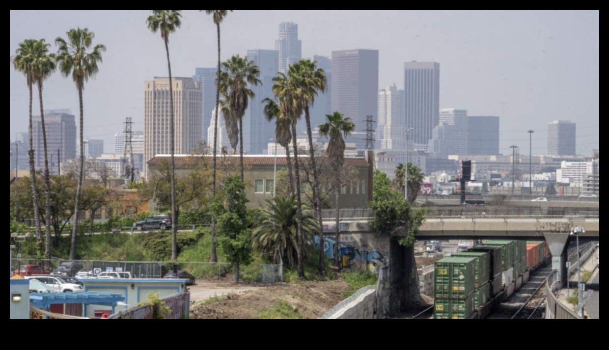 Cronicile Cityscape Cargo aud de la șoferii care ne fac orașele în mișcare 2 Cityscape Cargo Chronicles: Povești personale de la șoferii comerciali urbani