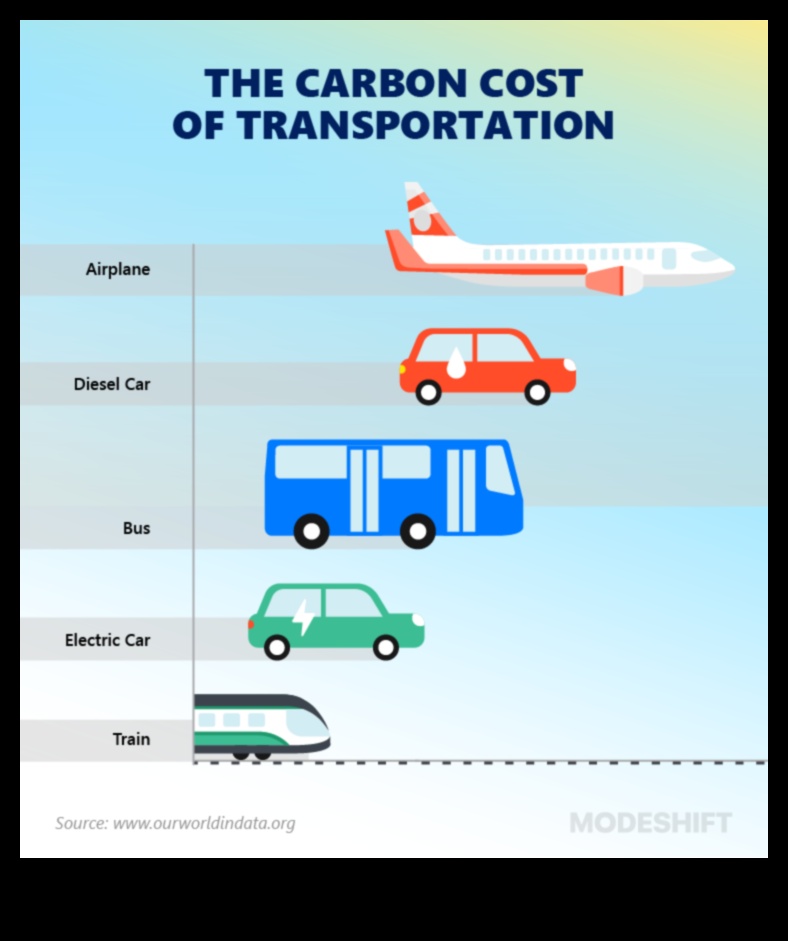 Naveta ecologică Cum vă poate ajuta transportul public să trăiți în mod durabil 2 Naveta ecologică: rolul transportului public în viața durabilă