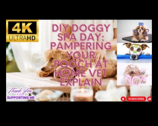 Doggy Day Spa Răsfățați-vă puiul cu îngrijire DIY 2 Doggy Day Spa: Răsfățați-vă cățelul cu îngrijire DIY