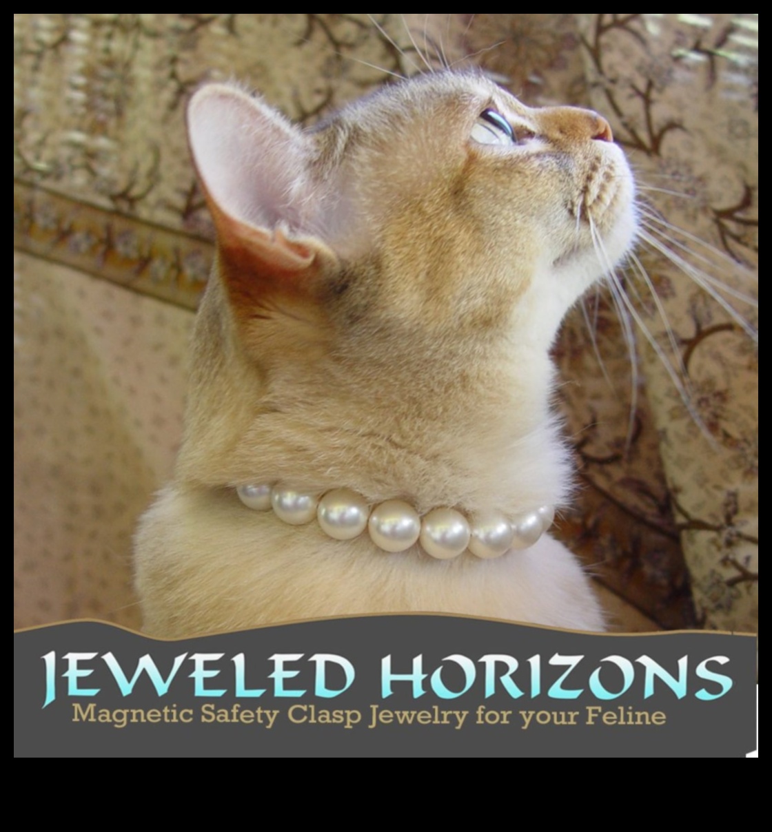 Cat Collar Couture: Crearea de accesorii elegante pentru moda felină