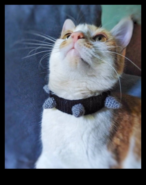 Cat Collar Couture: Crearea de accesorii elegante pentru moda felină