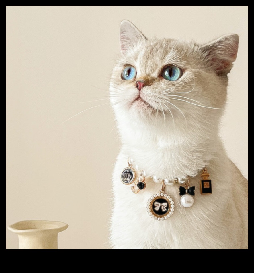 Cat Collar Couture: Crearea de accesorii elegante pentru moda felină