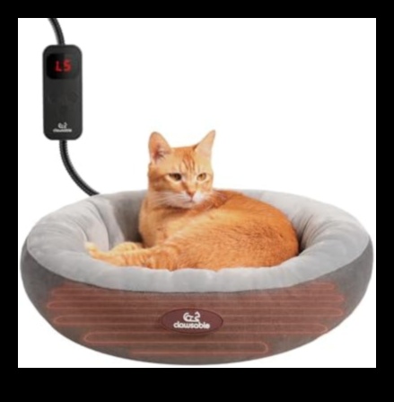 Cuddly Contraptions DIY Paturi încălzite pentru Cozy Cat Naps 2 Cuddly Contraptions: DIY Paturi încălzite pentru somn confortabil la pisici