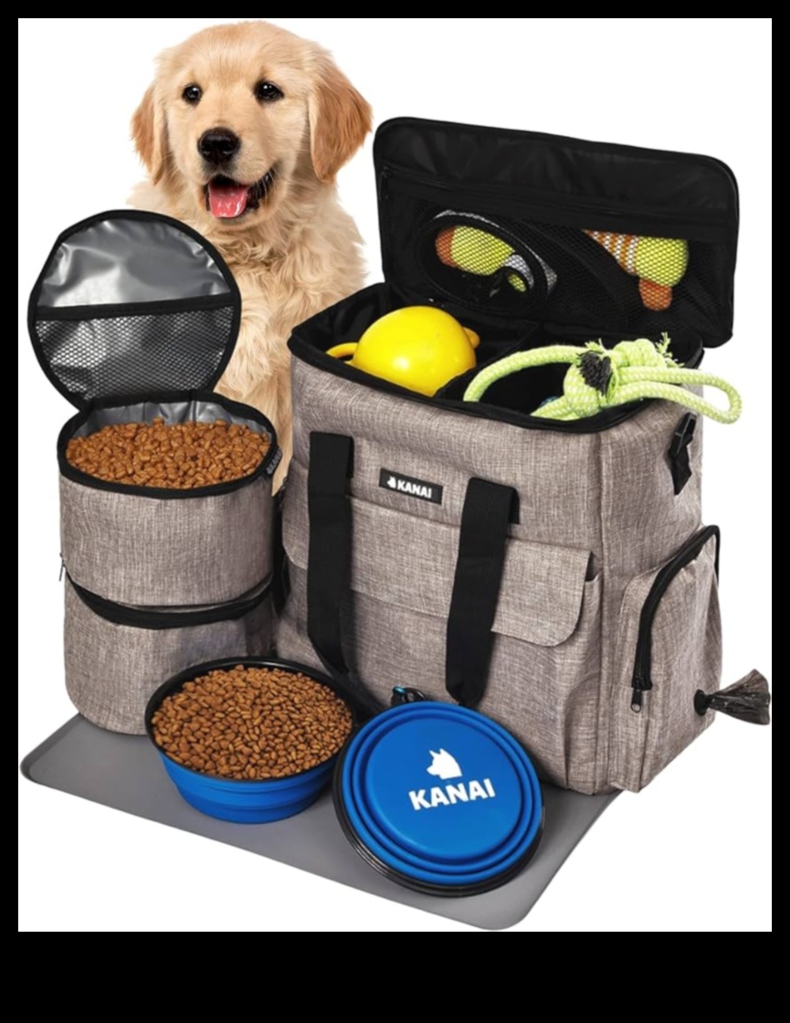 Doggy Decor Continuare 7 moduri de a reîmprospăta colecția de accesorii a câinelui dvs. 3 Decor pentru câini Continuare: împrospătarea colecției de accesorii a câinelui