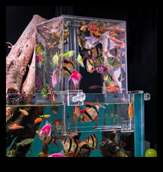 Accesorii pentru acvariu Extravaganza Continuare Ridicați-vă rezervorul de pește la noi înălțimi 4 Accesorii pentru acvariu Extravaganza Continuare: Adăugați eleganță rezervorului dvs. de pește