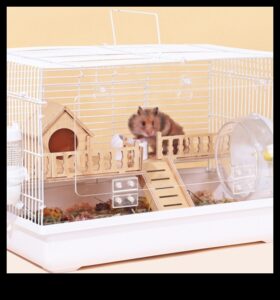 Ambasadori de mediu: crearea unui mediu relaxant pentru hamsteri