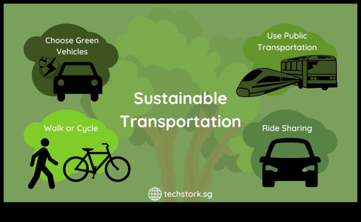 Naveta ecologică: contribuția transportului public la o viață durabilă