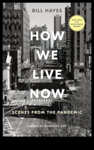 Cityscape Cargo Chronicles: Povești personale de la șoferii comerciali urbani