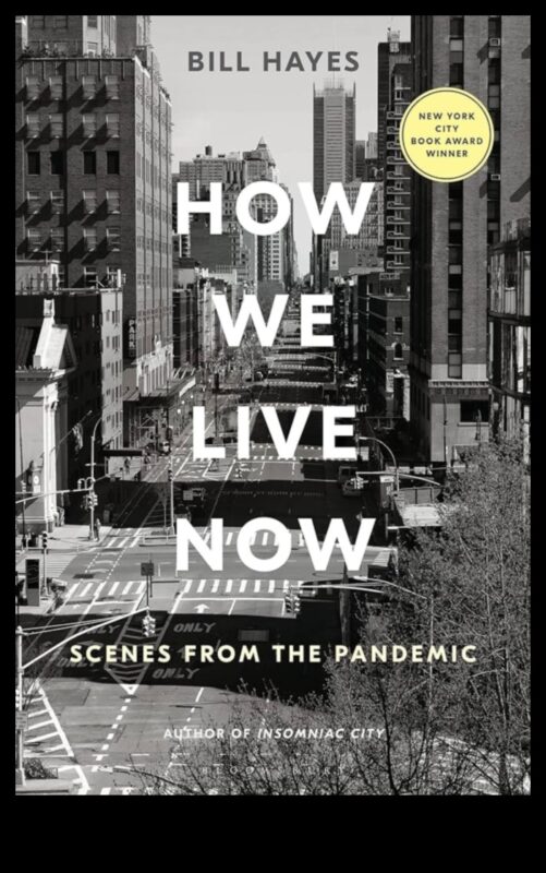 Cityscape Cargo Chronicles: Povești personale de la șoferii comerciali urbani