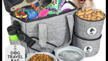 Decor pentru câini Continuare: împrospătarea colecției de accesorii a câinelui