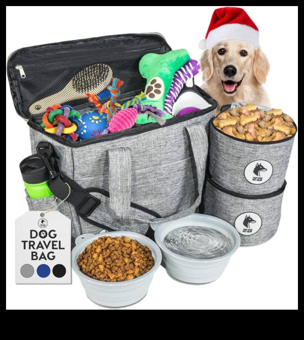 Decor pentru câini Continuare: împrospătarea colecției de accesorii a câinelui