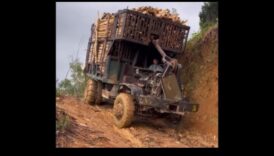 Drumuri de pământ și nu numai: cucerirea sălbăticiei cu mașini de teren