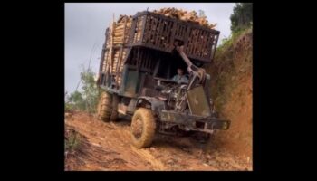 Drumuri de pământ și nu numai: cucerirea sălbăticiei cu mașini de teren