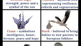 Păsări și culturi indigene: simbolism și semnificație spirituală