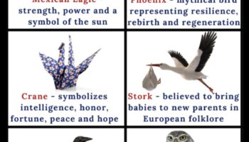 Păsări și culturi indigene: simbolism și semnificație spirituală